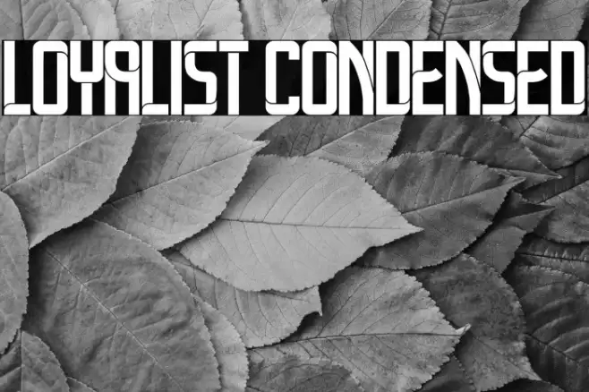 Loyalist Condensed Example 2
