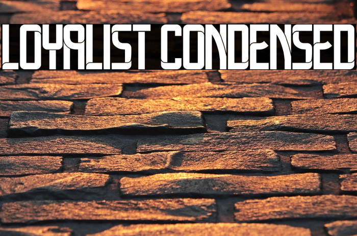 Loyalist Condensed Example 3