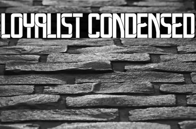 Loyalist Condensed Example 3