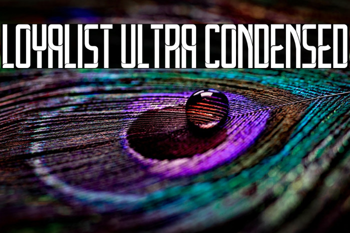 Loyalist Ultra Condensed Example 1