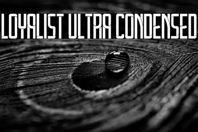 Loyalist Ultra Condensed Example 1