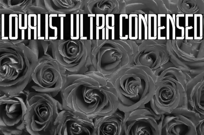 Loyalist Ultra Condensed Example 3