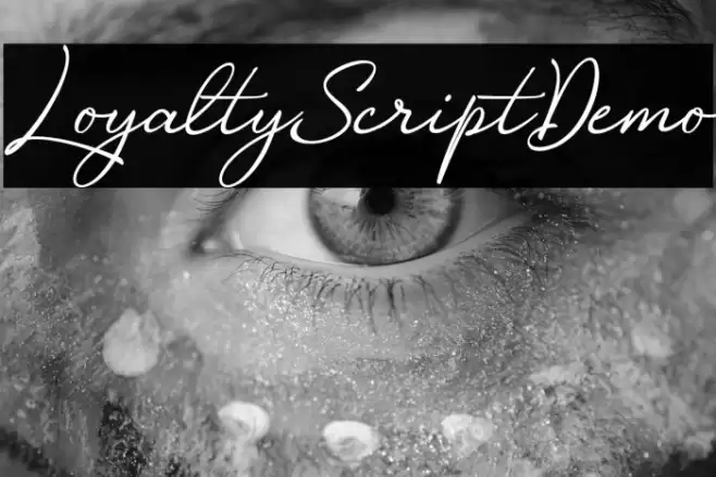 LoyaltyScriptDemo フォント examples