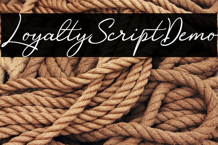 LoyaltyScriptDemo Example 2