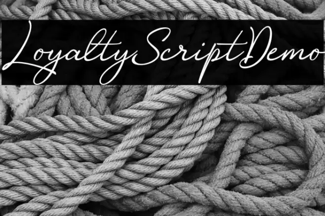 LoyaltyScriptDemo フォント examples