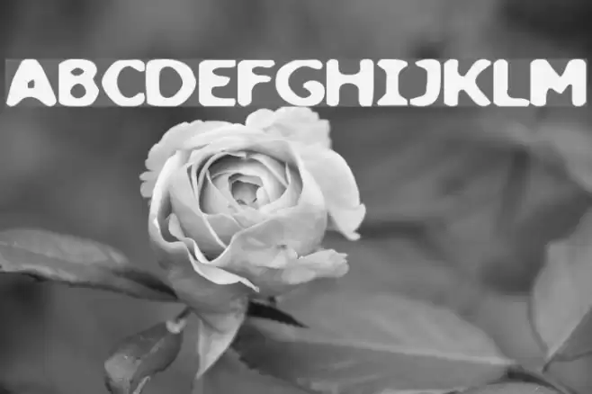 loaf फ़ॉन्ट examples