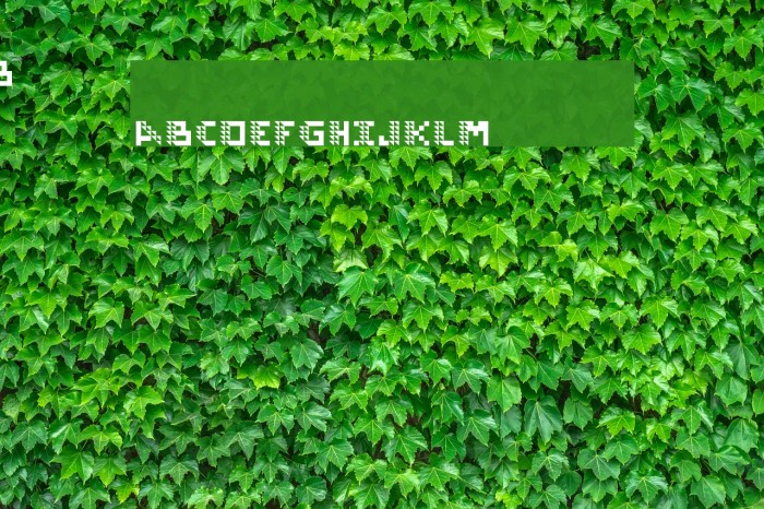 locopogo Regular Example 2