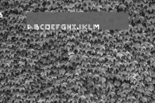 locopogo Regular Font examples