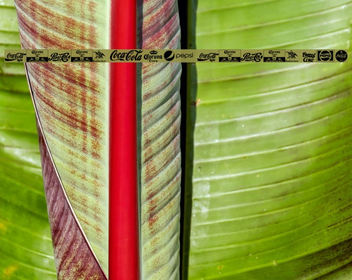 logos and logos tfb Example 1