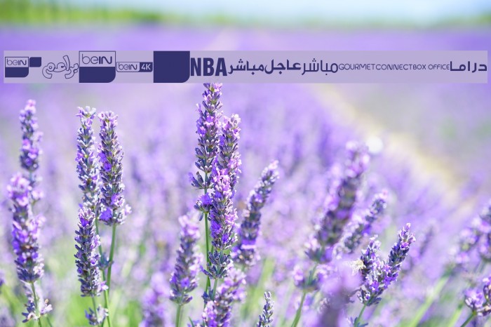 logos bein aljazeera Font examples