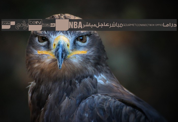 logos bein aljazeera Font examples