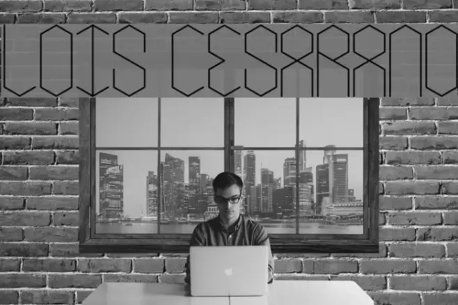 lois Cesarano Font examples