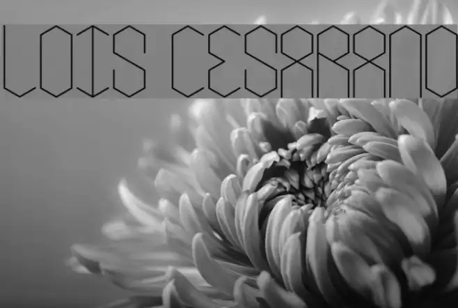 lois Cesarano Font examples