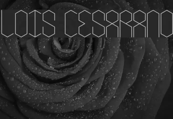 lois Cesarano Font examples