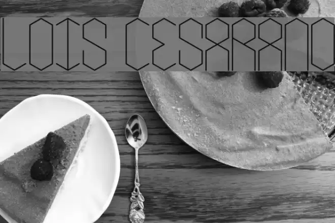 lois Cesarano Font examples