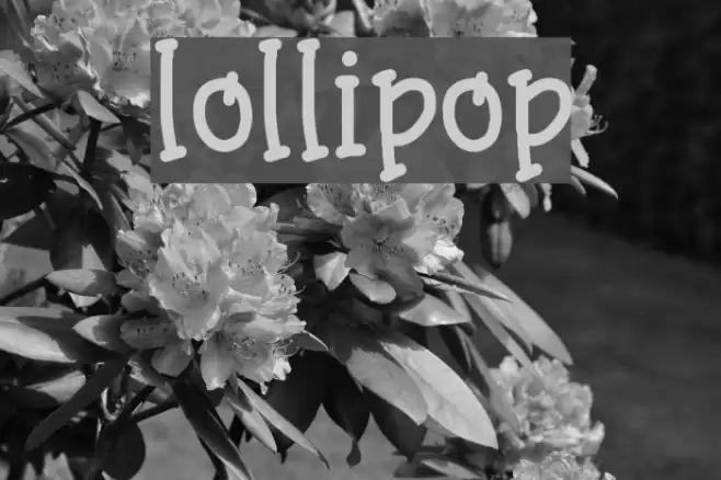 lollipop Font examples