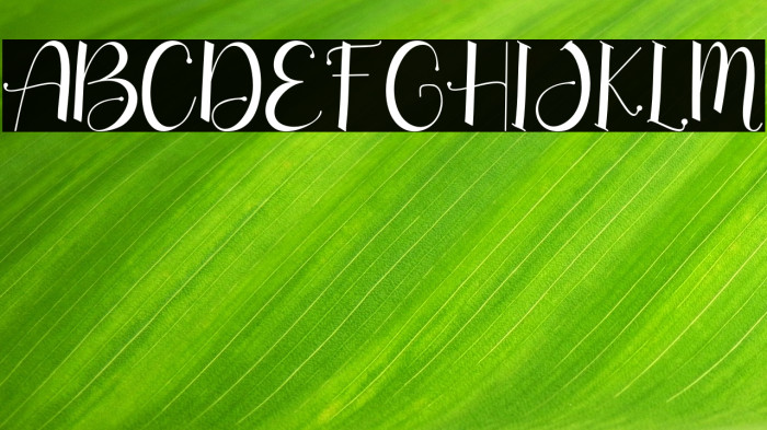 long island - Personal Use Example 2