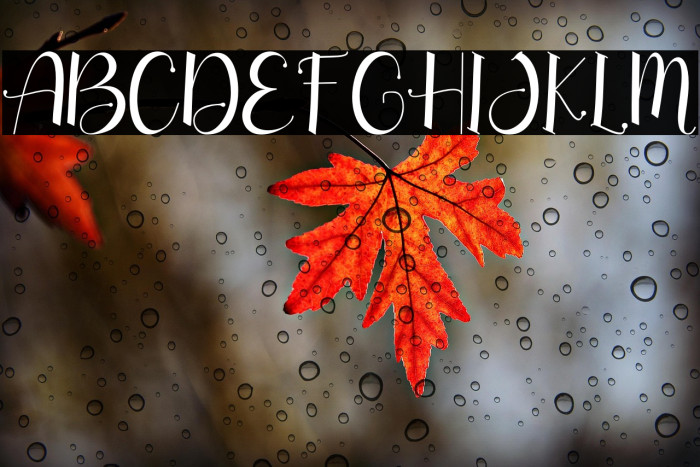 long island - Personal Use Example 3