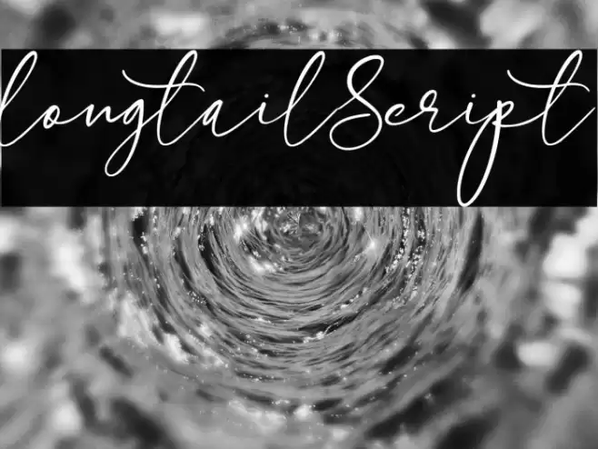 longtail Script Font examples