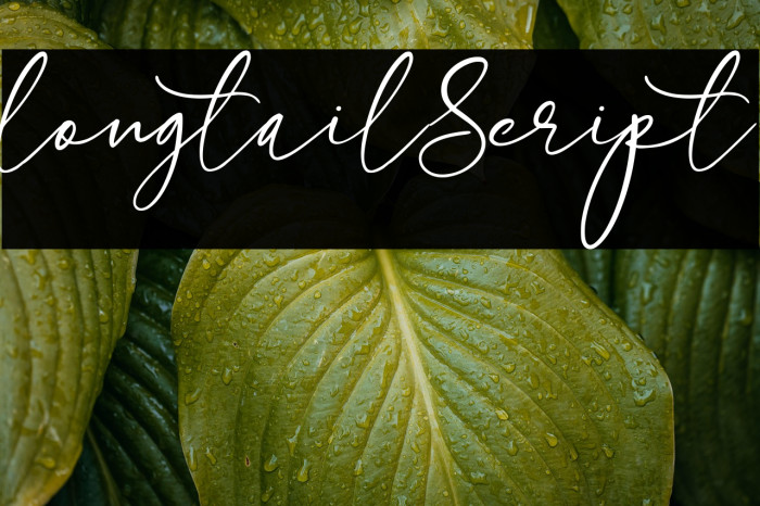 longtail Script Example 2