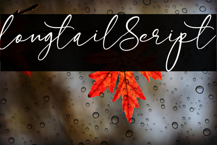 longtail Script Example 3