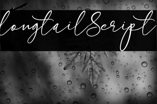 longtail Script Font examples