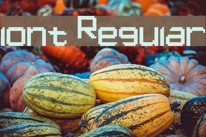 lont Regular Example 1