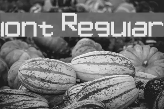 lont Regular Font examples