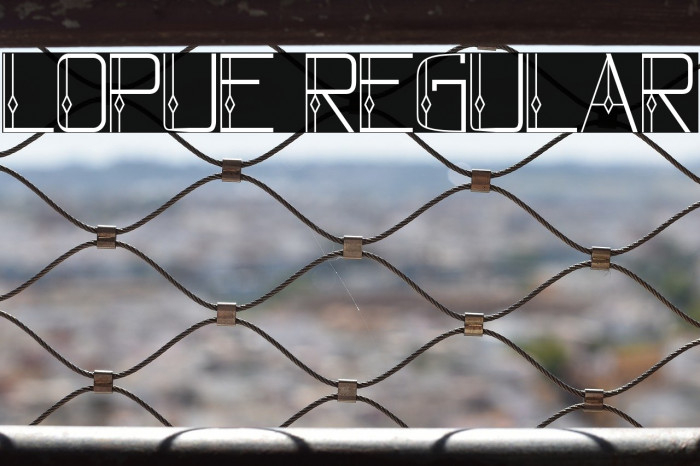 lopue Regular Example 1