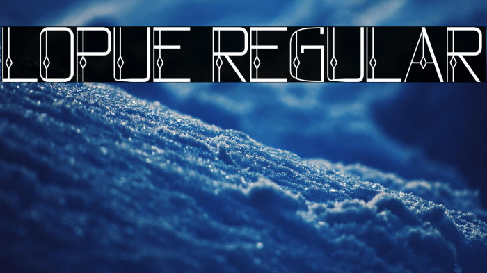 lopue Regular Example 2