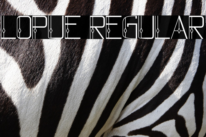 lopue Regular Example 3