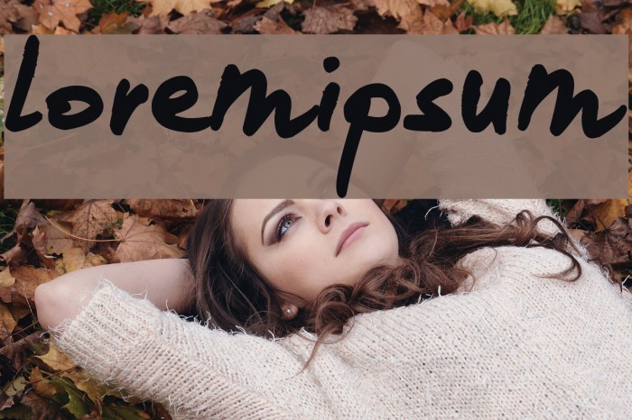 loremipsum Example 1