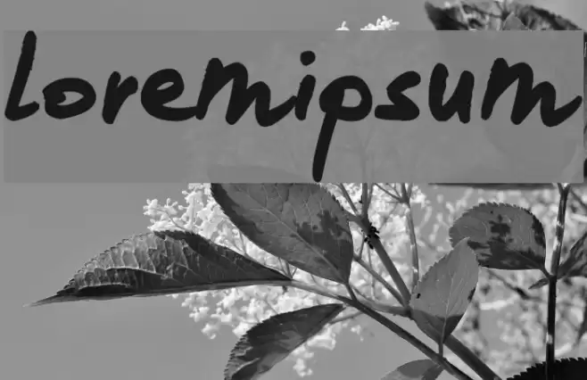 loremipsum Font examples