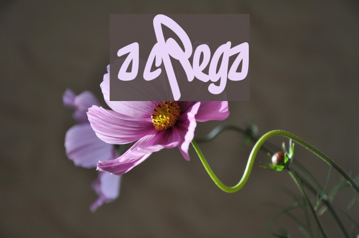 los vatos locosRegular Font examples