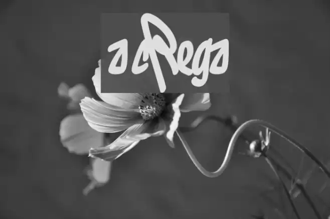 los vatos locosRegular Шрифта examples
