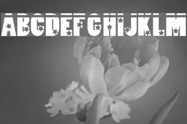 loserboi allstar Font examples