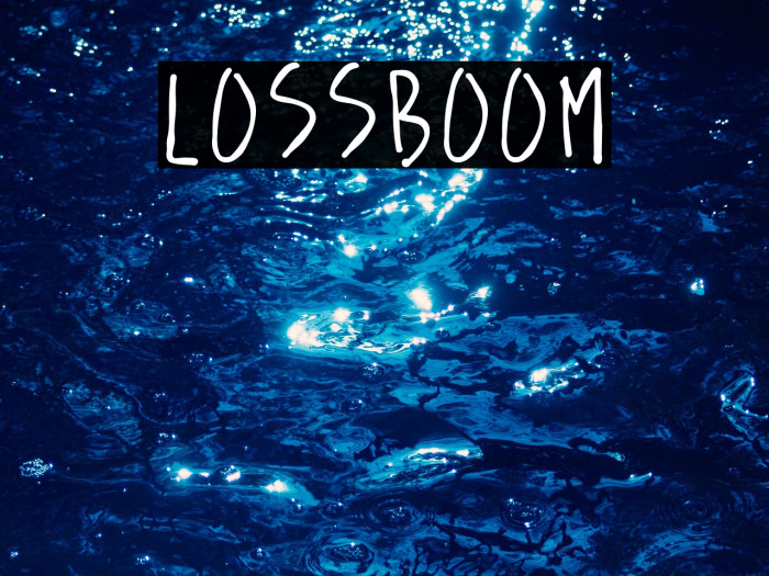 lossboom Example 1