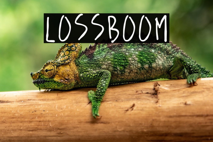 lossboom Example 2
