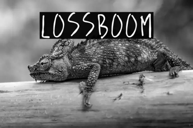 lossboom Font examples