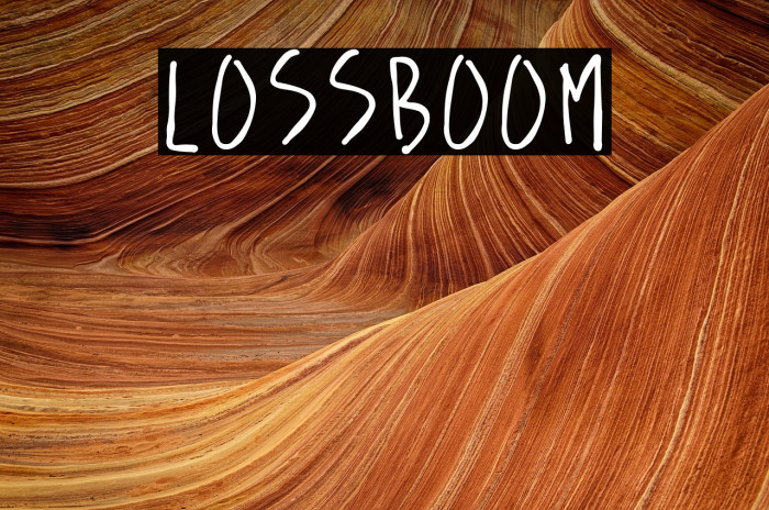 lossboom Example 3