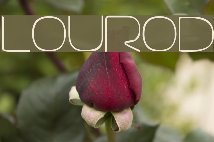lourod Font examples