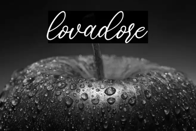 lovadore Example 3