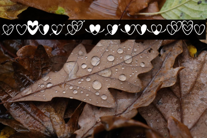 love-artdesign Example 1