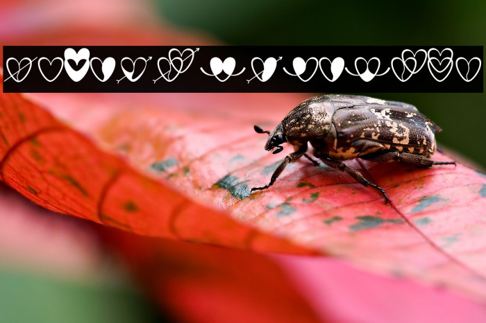 love-artdesign Example 2