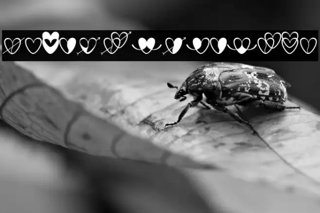 love-artdesign Example 2