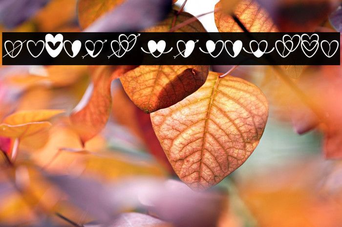 love-artdesign Example 3