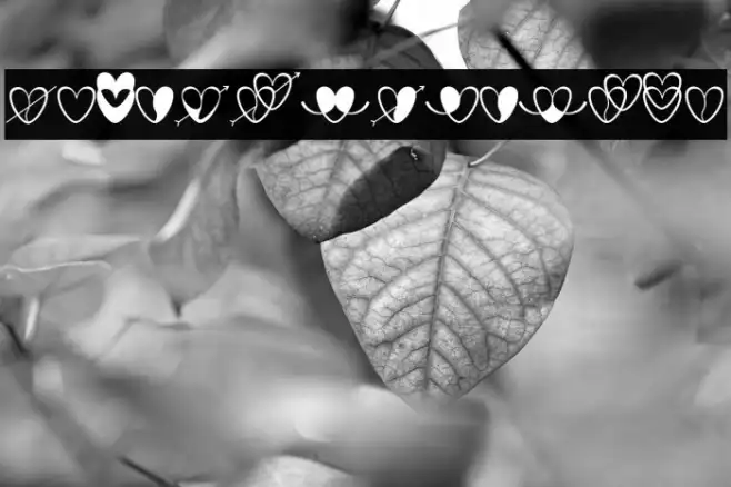 love-artdesign Example 3