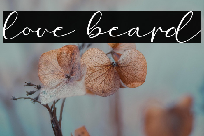 love beard Example 1