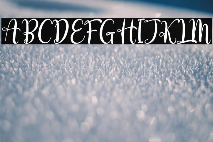 love erlia Example 1