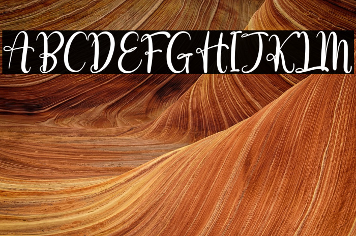 love erlia Example 2